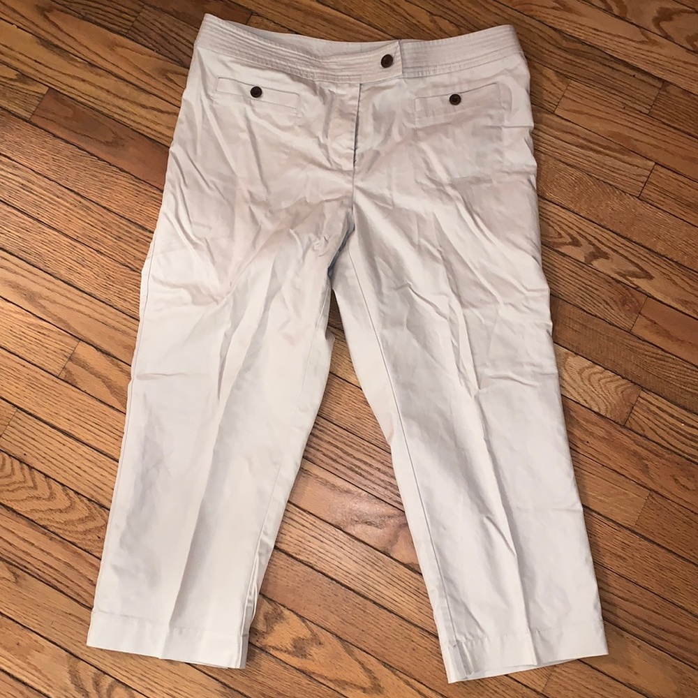Size 14 Talbots Pants